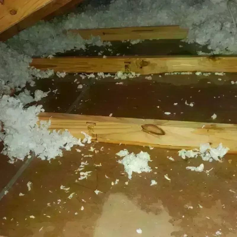 Attic Water Damage in South Lebanon, OH