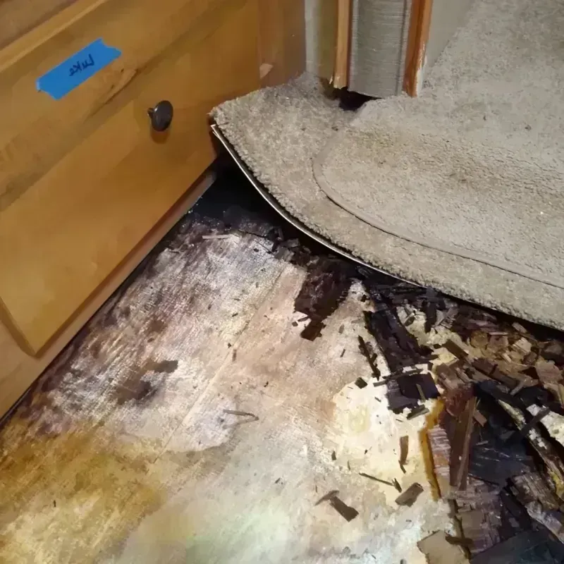 Wood Floor Water Damage in South Lebanon, OH